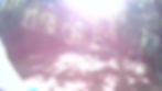 Thumbnail: Lone Rock Shamrock