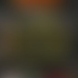 Oulton Park Race Report 