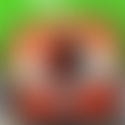 New Helmet - New Livery 