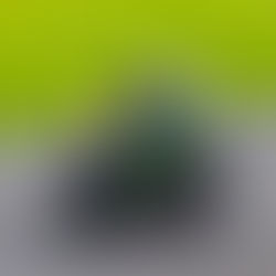 TBT - Silverstone 2021