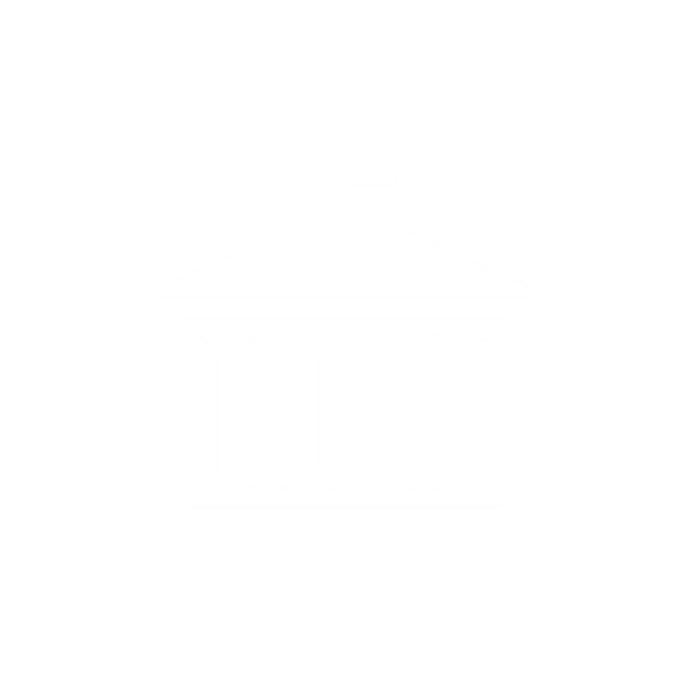 government it solutions provider
