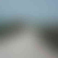 white roads in Tuscany