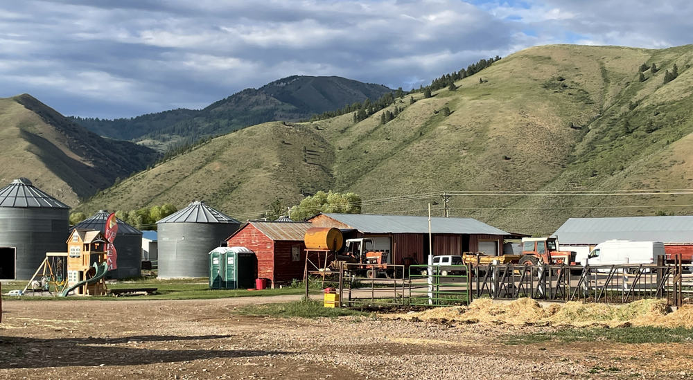Down on the Farm in Wyoming