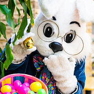 Easter Bunny