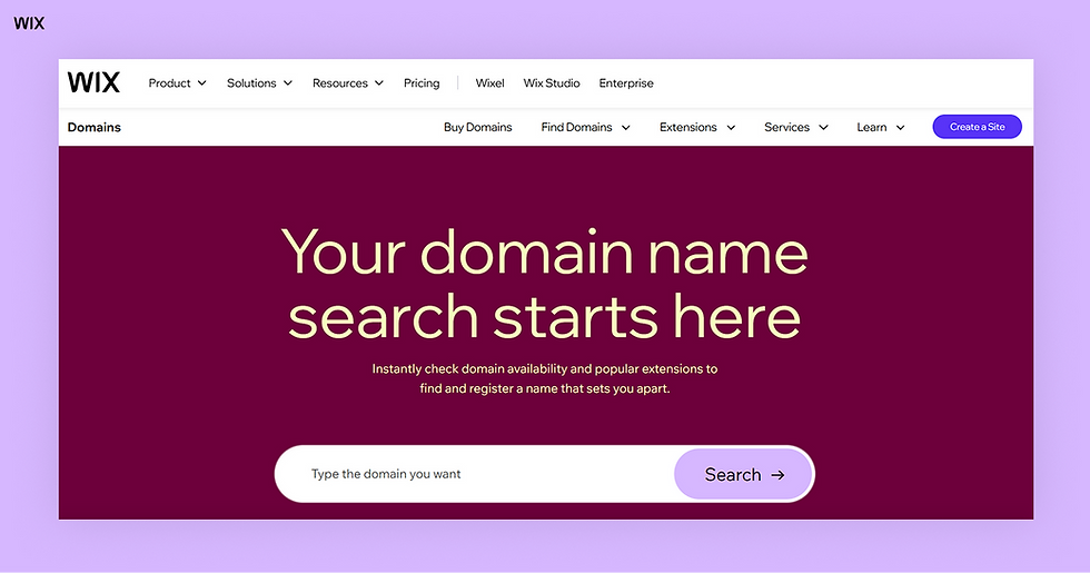 domain name search with Wix