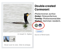 Screenshot 2023-05-13 at 12.47.36 PM.png
