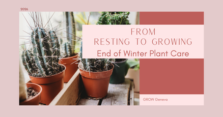 From Resting to Growing: End-of-Winter Plant Care