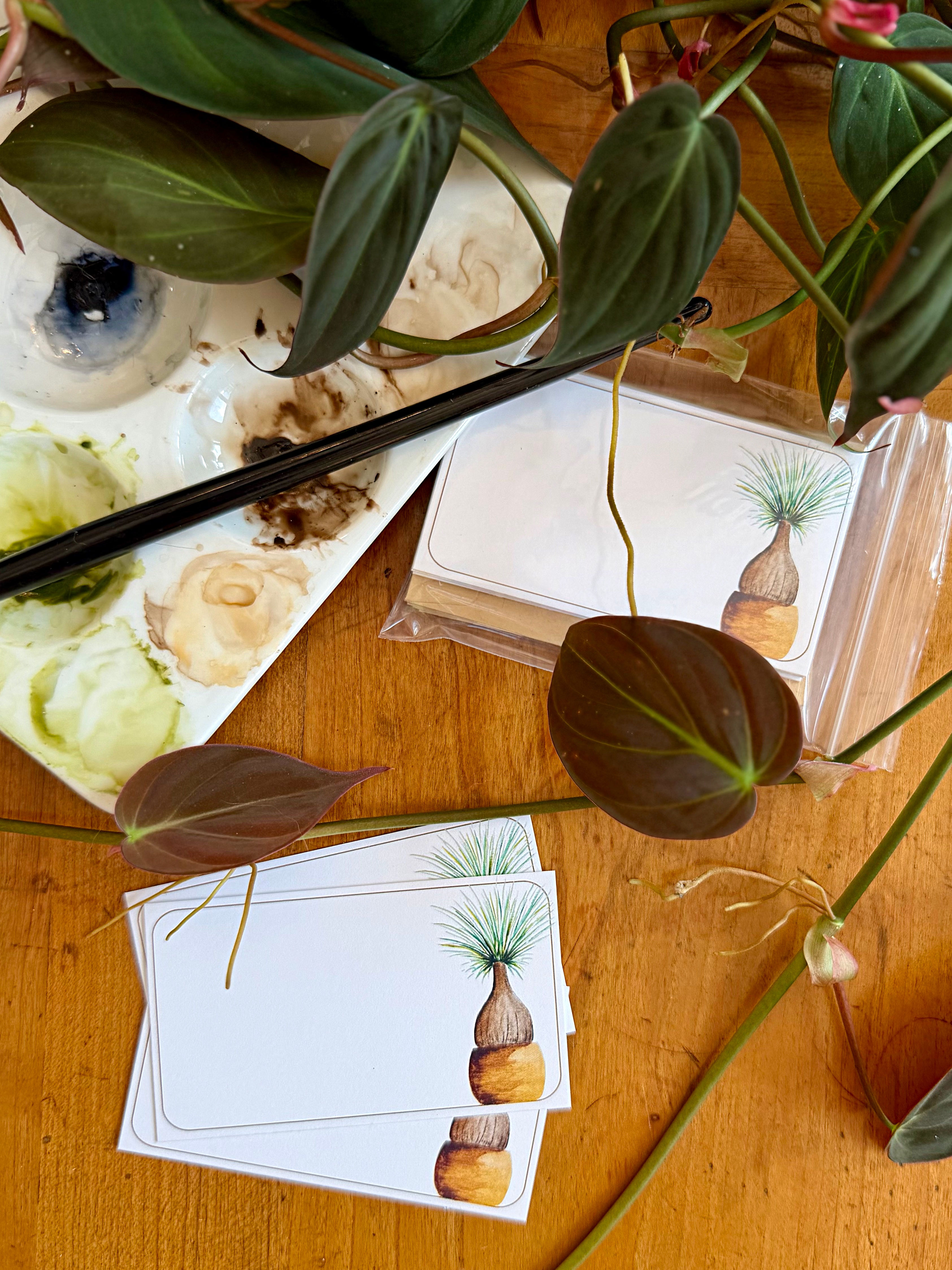 Ponytail Palm- Signature Mini Messages 10 Notecard Set