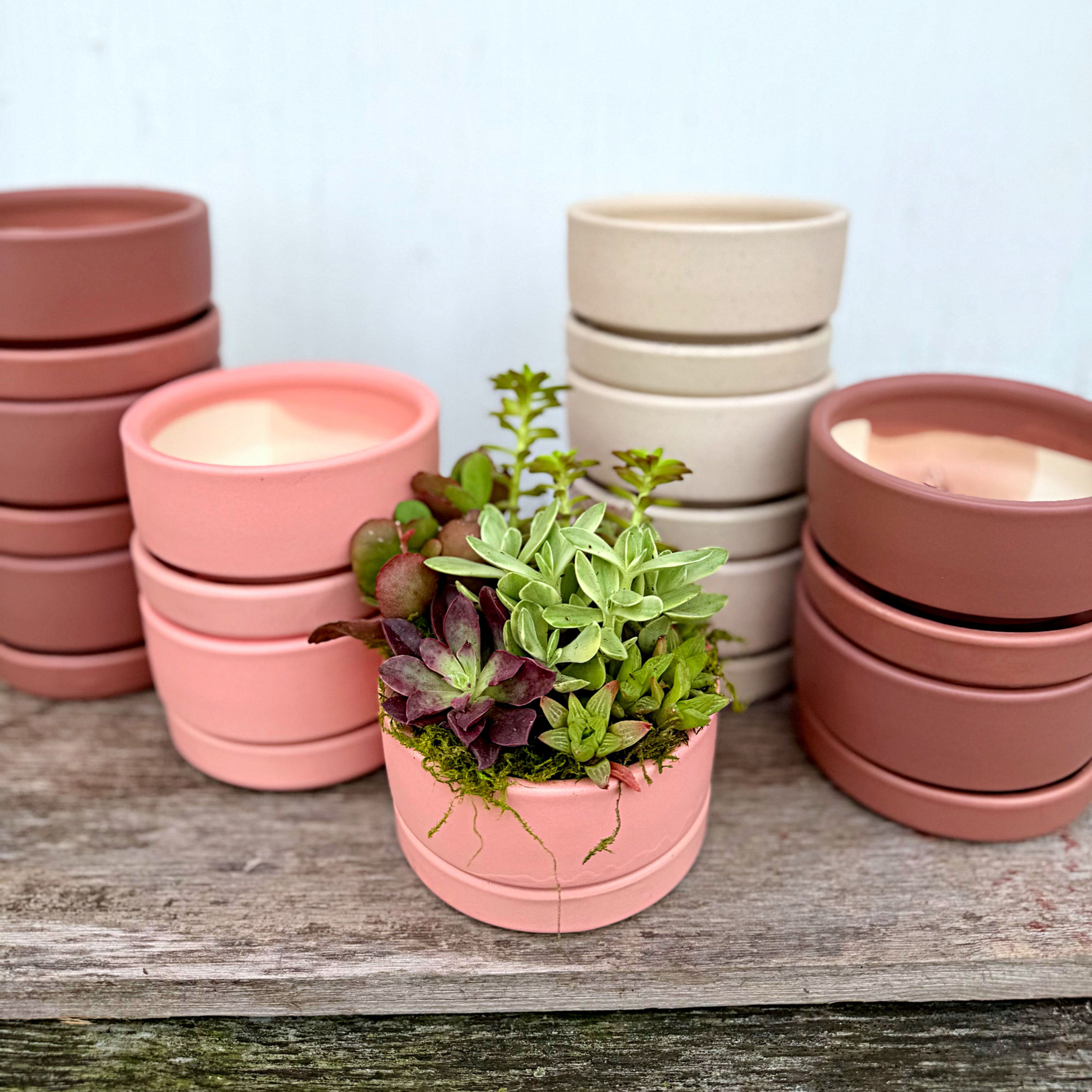 Pre-Order Mother's Day Mini-Succulent Garden
