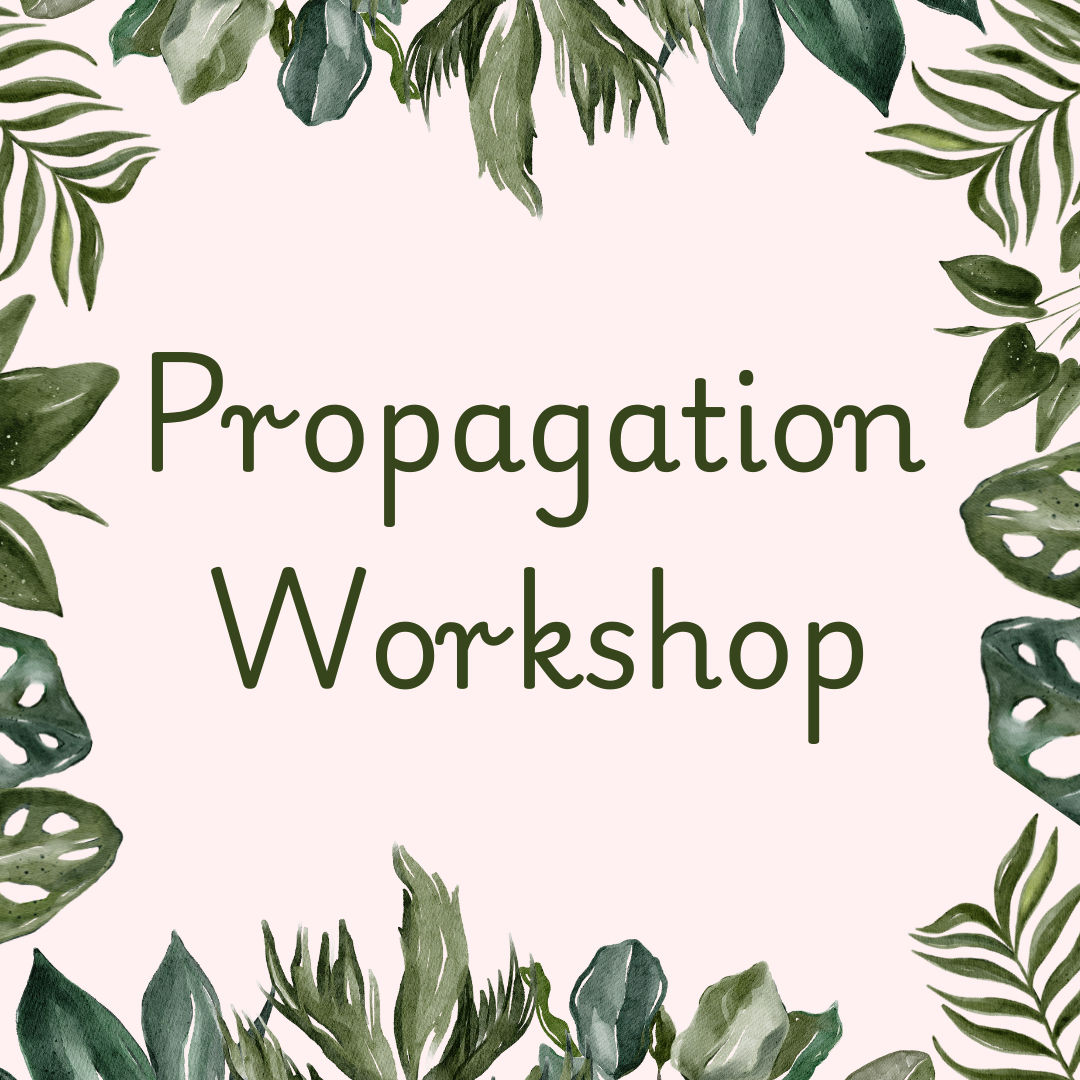 Propagation Workshop - May 16th