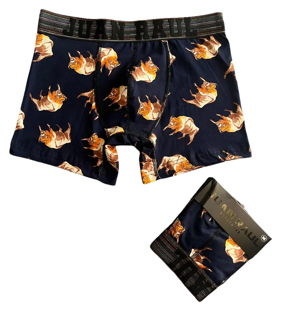 Boğalı Orj. Juan Raul Erkek Boxer