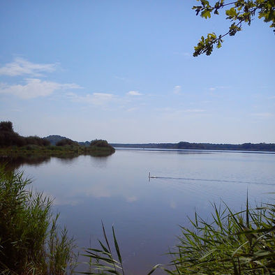 A la découverte des oiseaux en Brenne