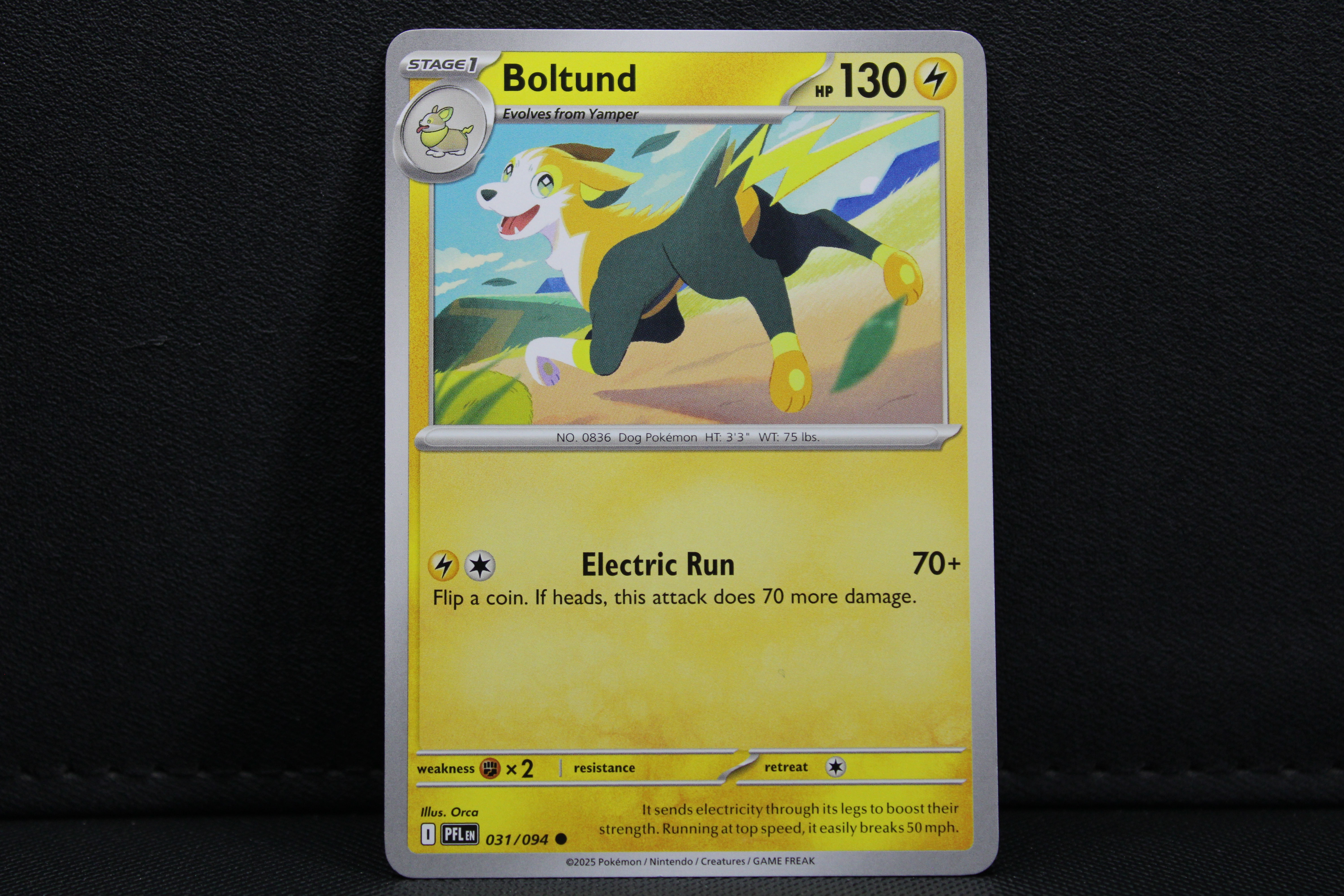 Boltund 031/094 - Non Holo, ME Phantasmal Flames