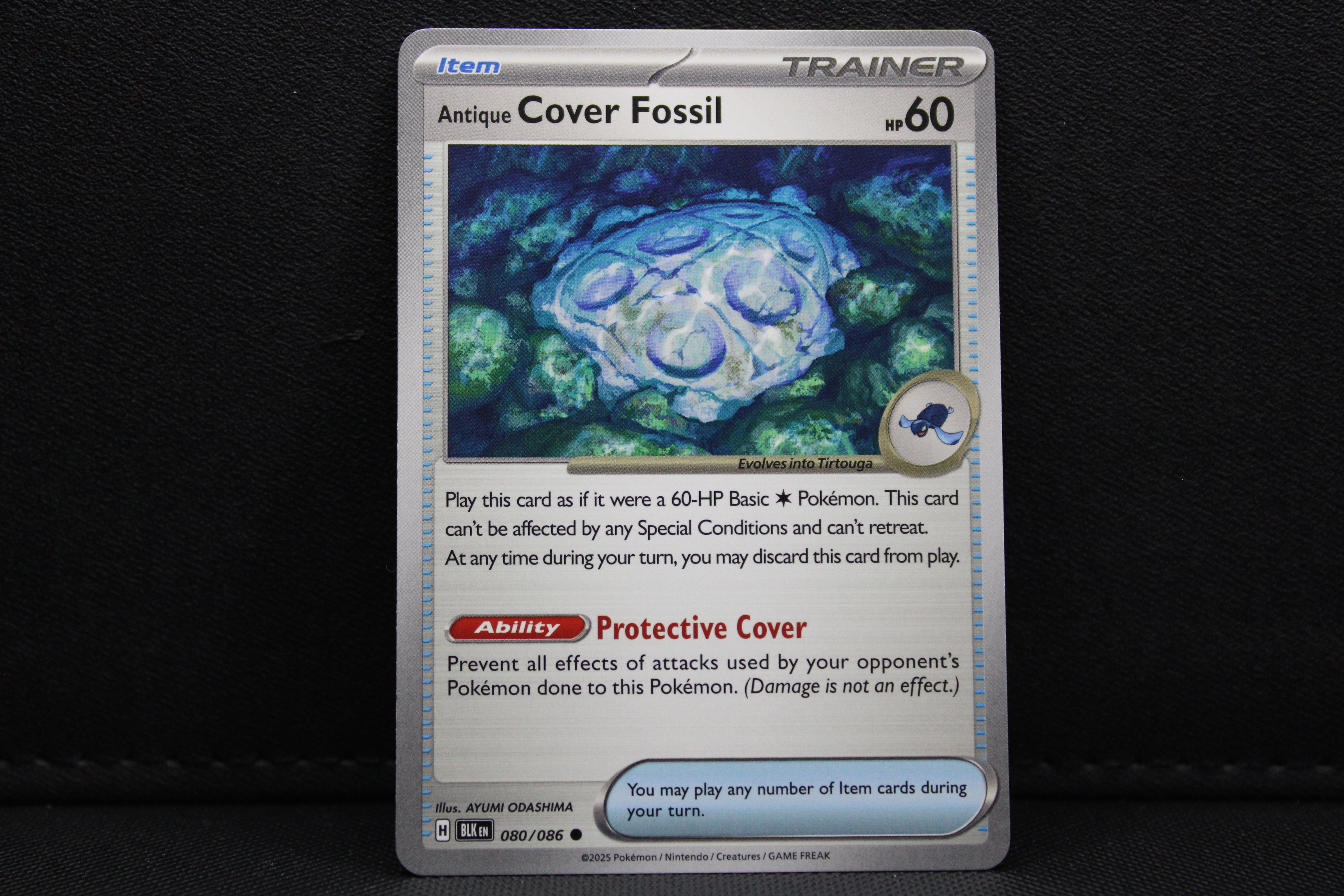 Antique Cover Fossil 080/086 - Trainer Non Holo, SV Black Bolt