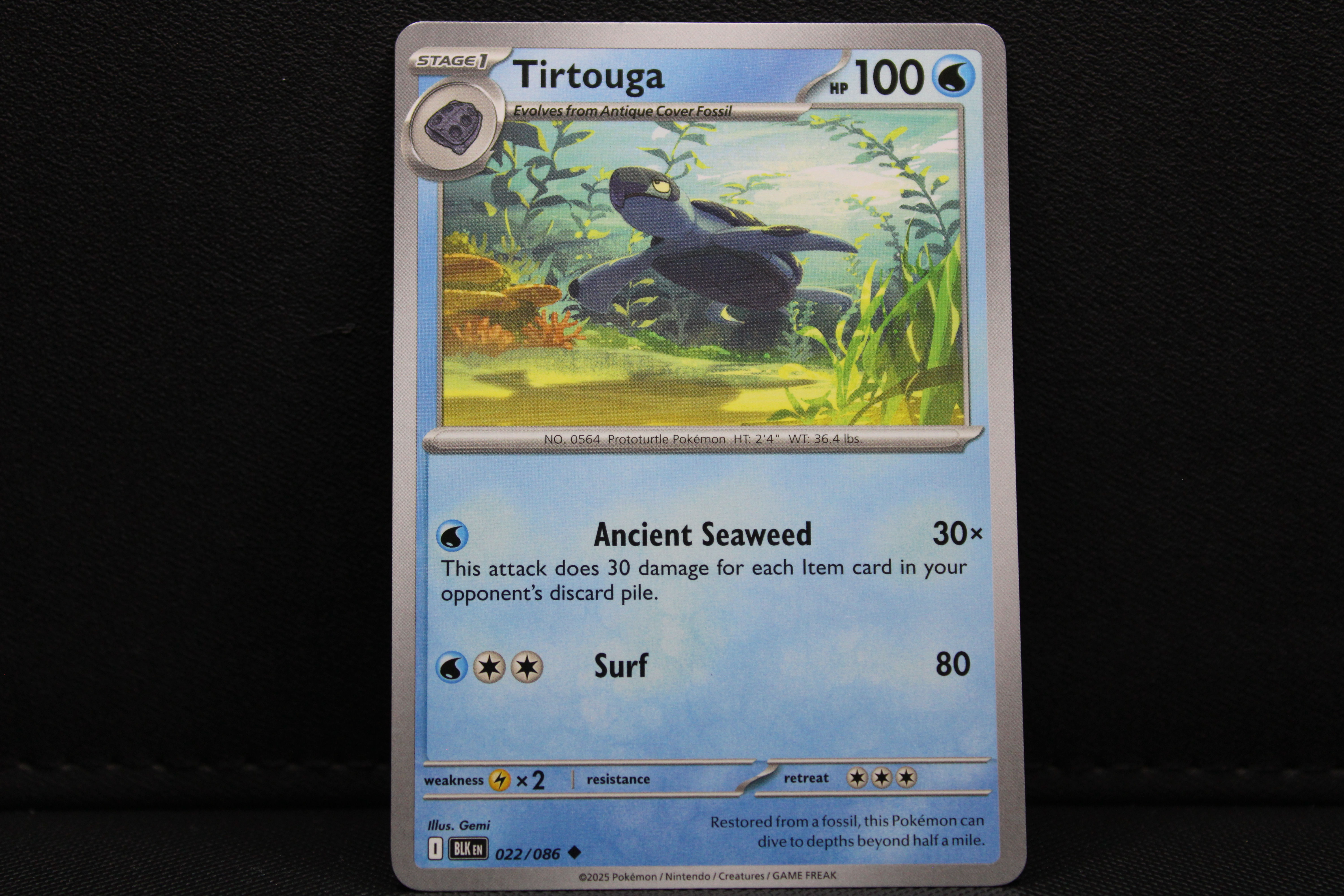 Tirtouga 022/086 - Non Holo, SV Black Bolt