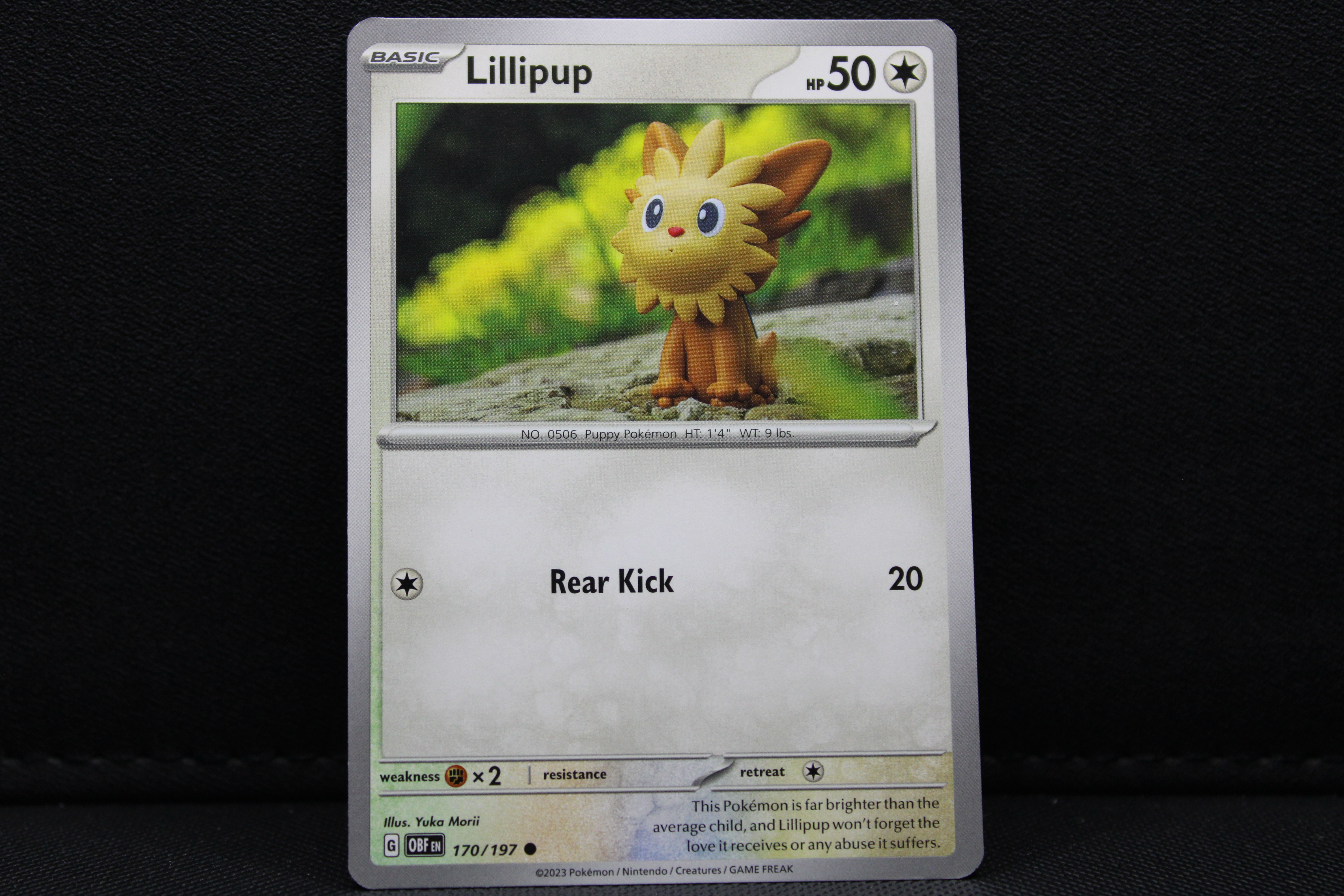 Lillipup 170/197 - Non Holo, SV Obsidian Flames
