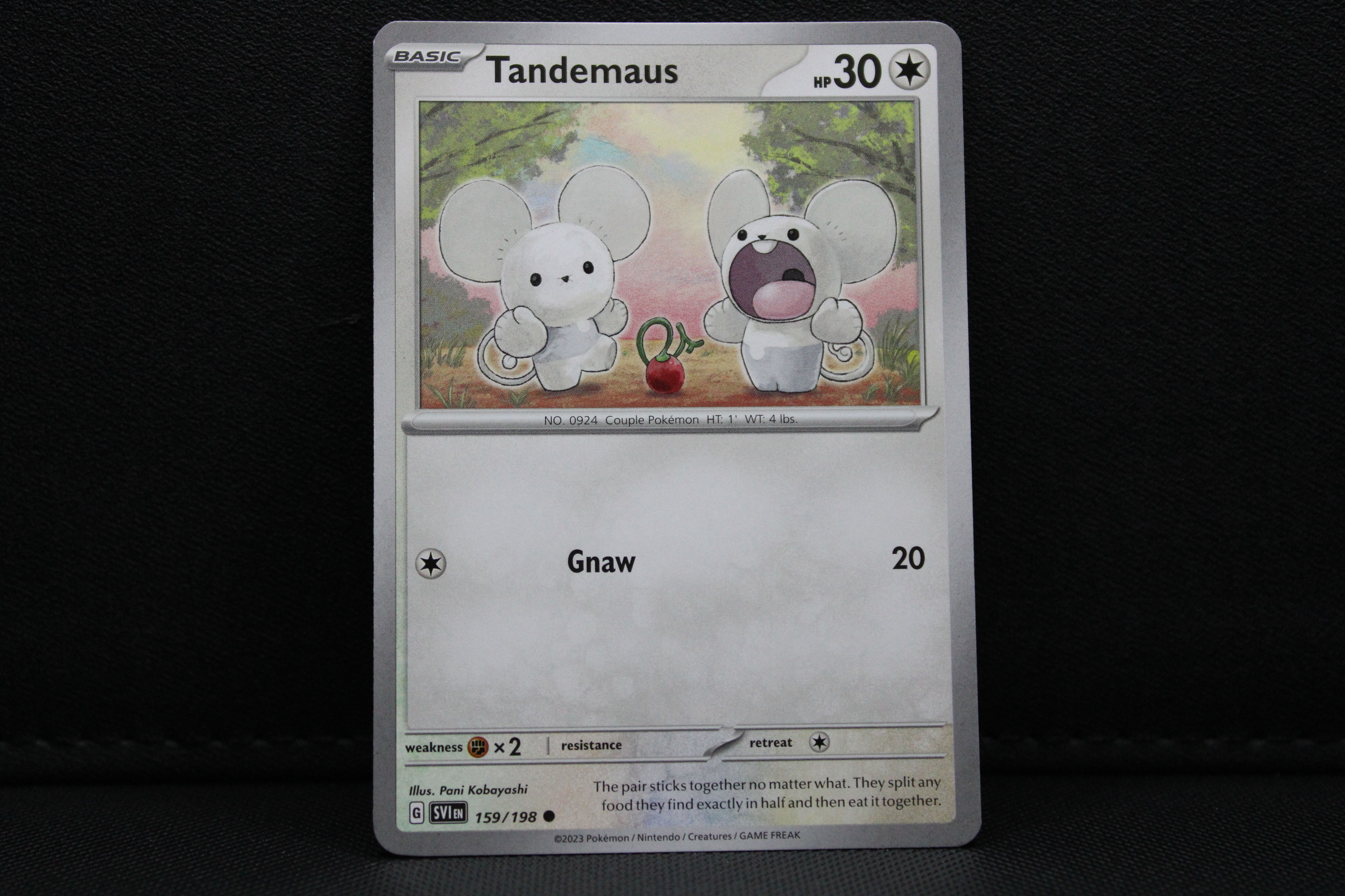 Tandemaus 159/198 - Non Holo, SV Scarlet & Violet