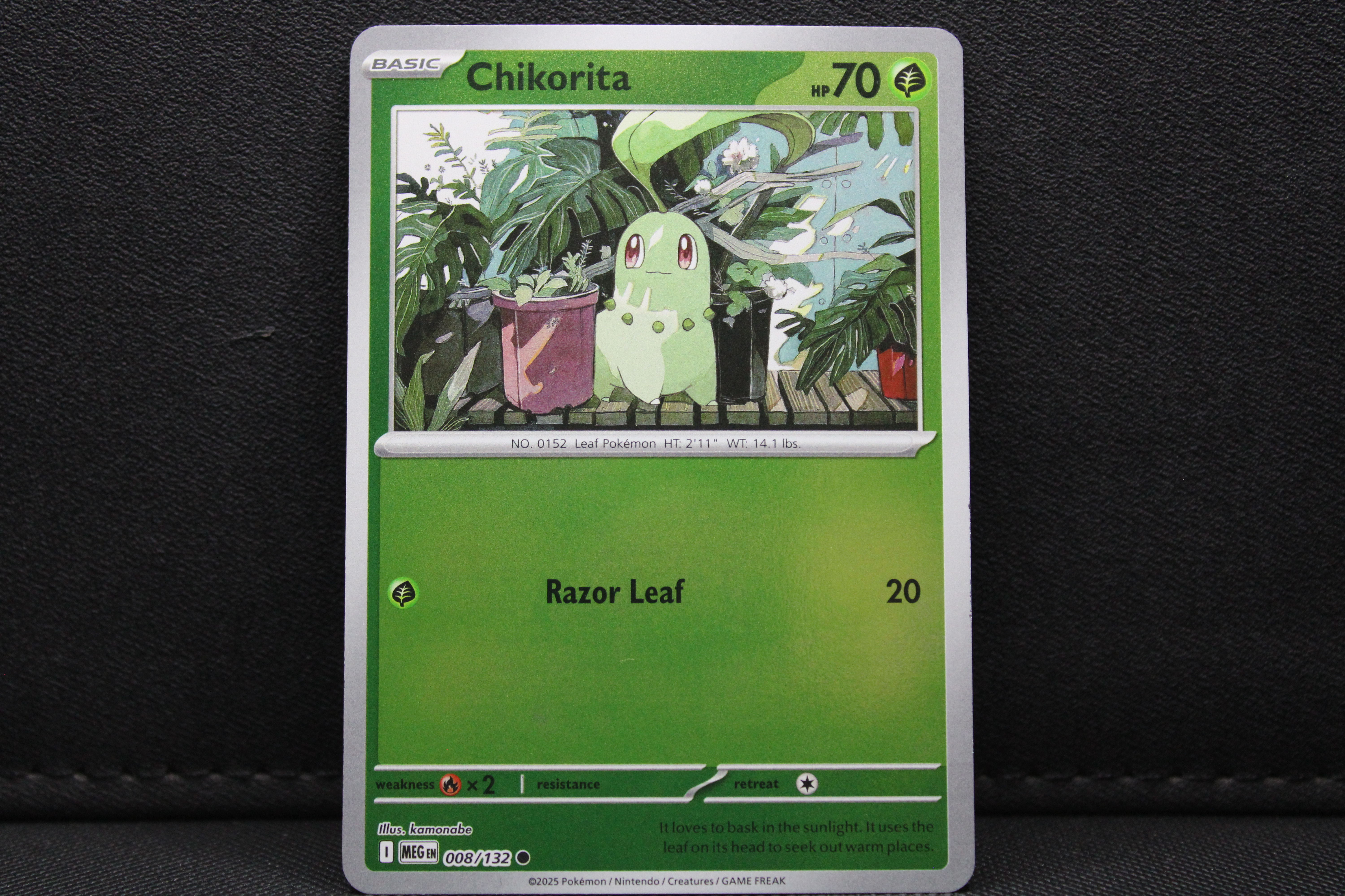 Chikorita 008/132 - Reverse Holo, ME Mega Evolution