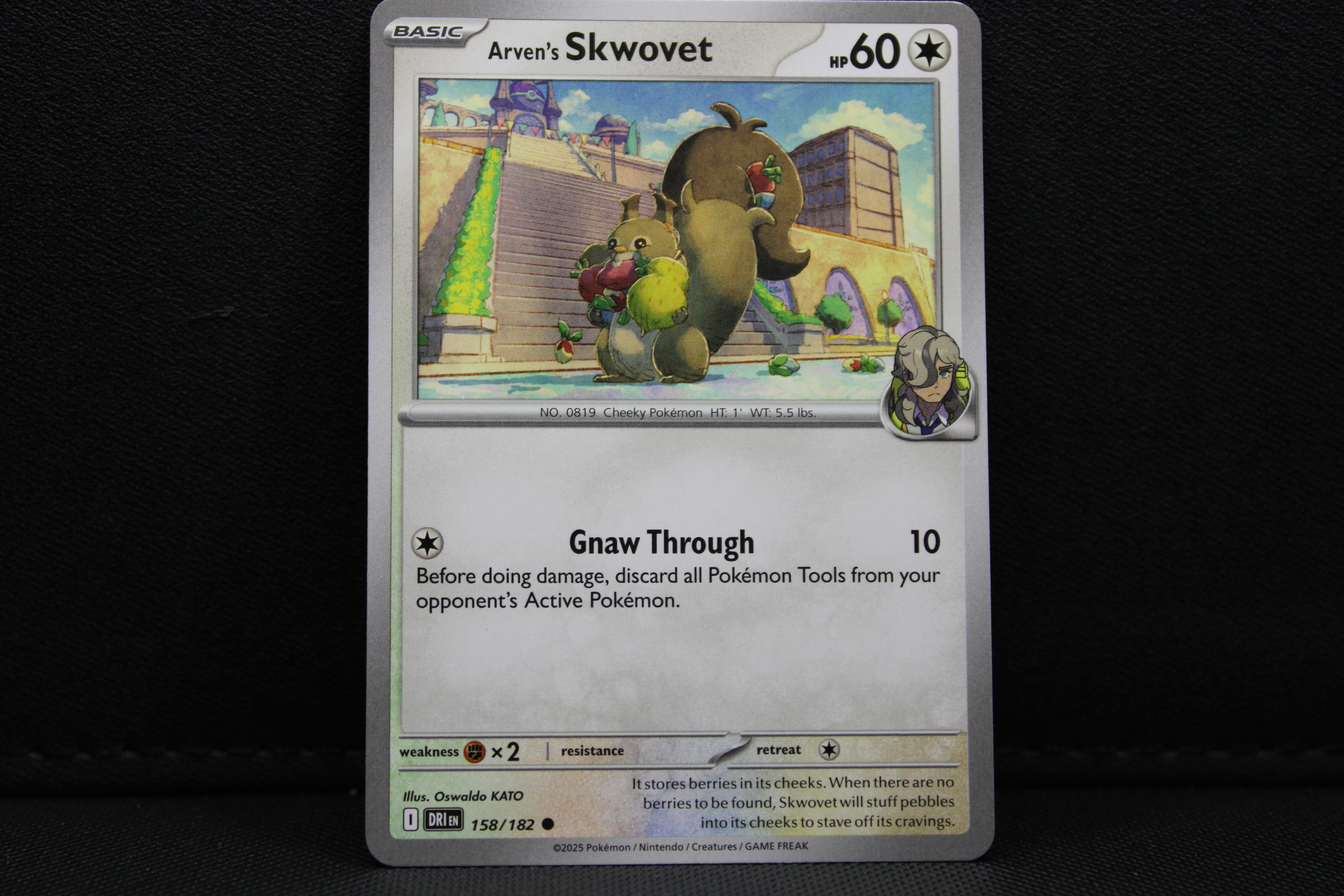 Arven's Skwovet 158/182 - Non Holo, SV Destined Rivals