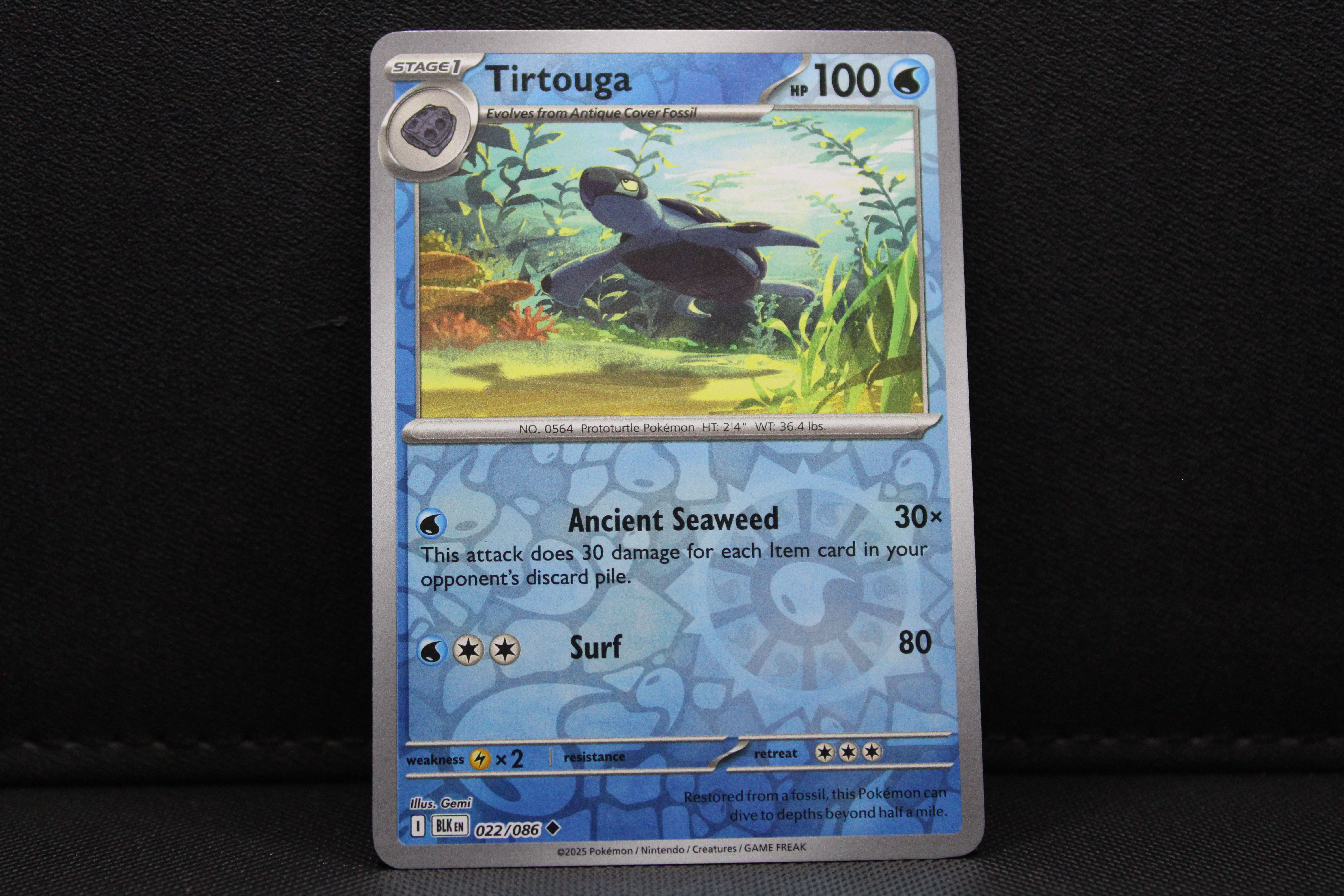 Tirtouga 022/086 - Reverse Holo, SV Black Bolt