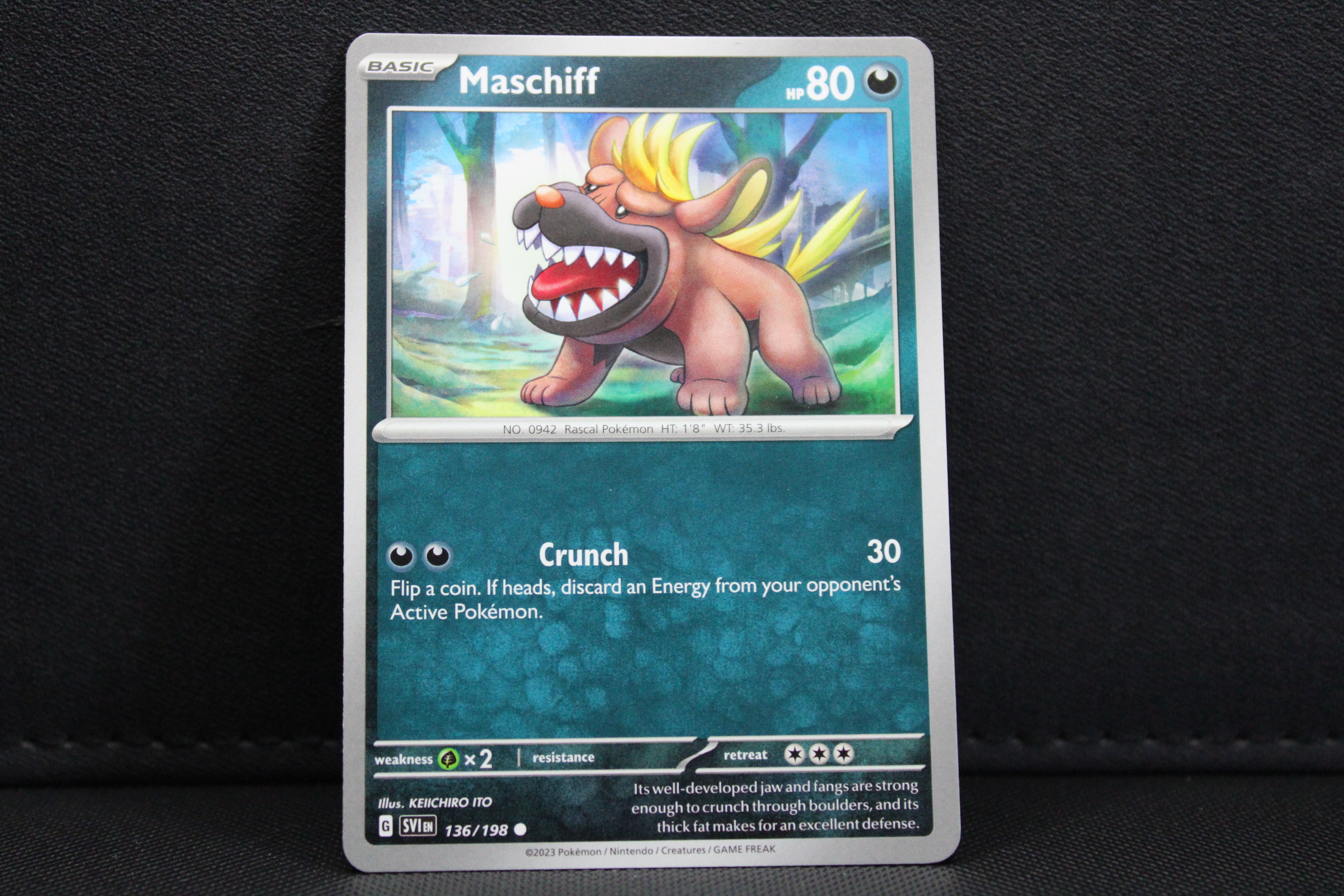 Maschiff 136/198 - Non Holo, SV Scarlet & Violet