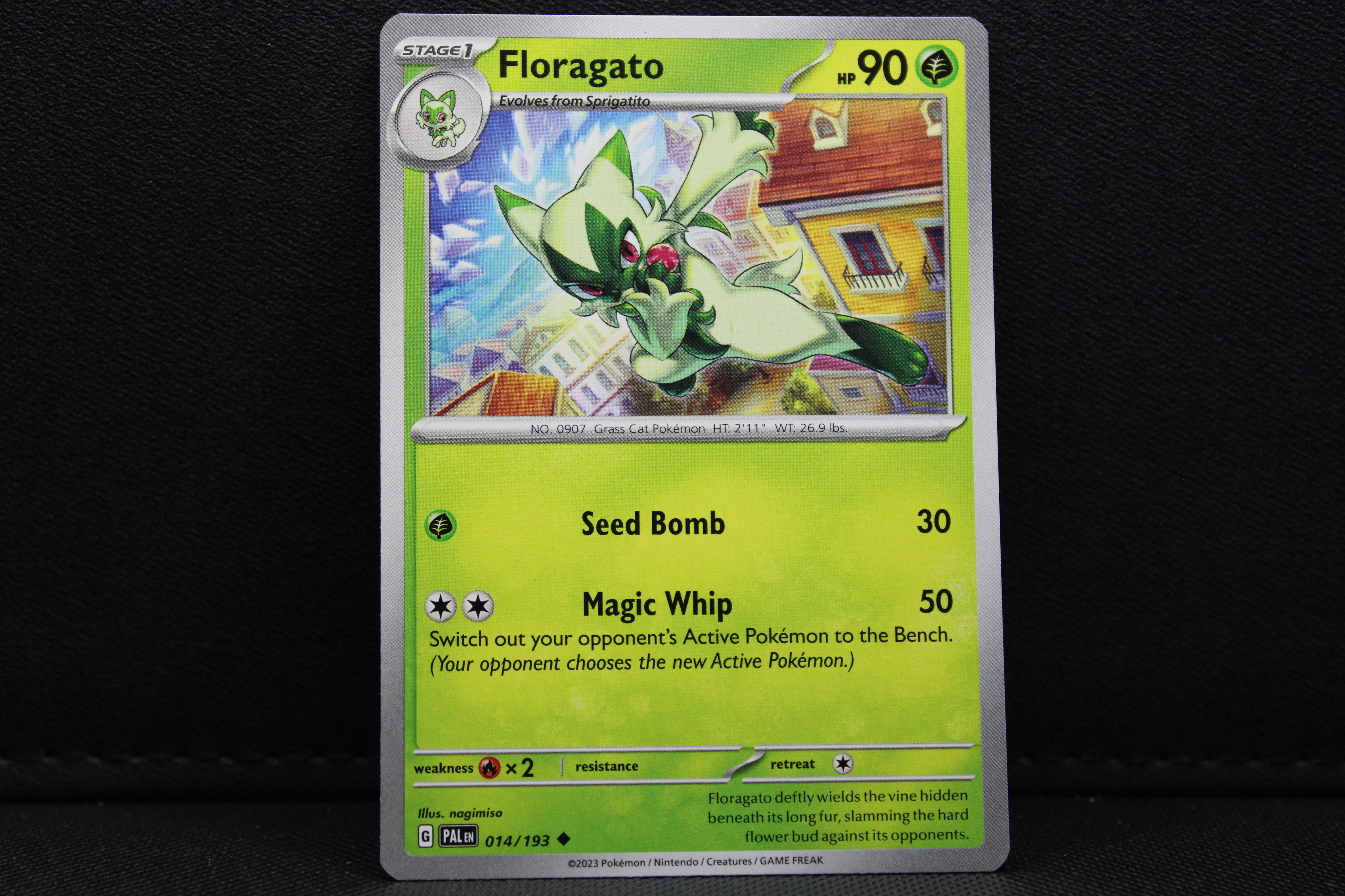 Floragato 014/193 - Non Holo, SV Paldea Evolved
