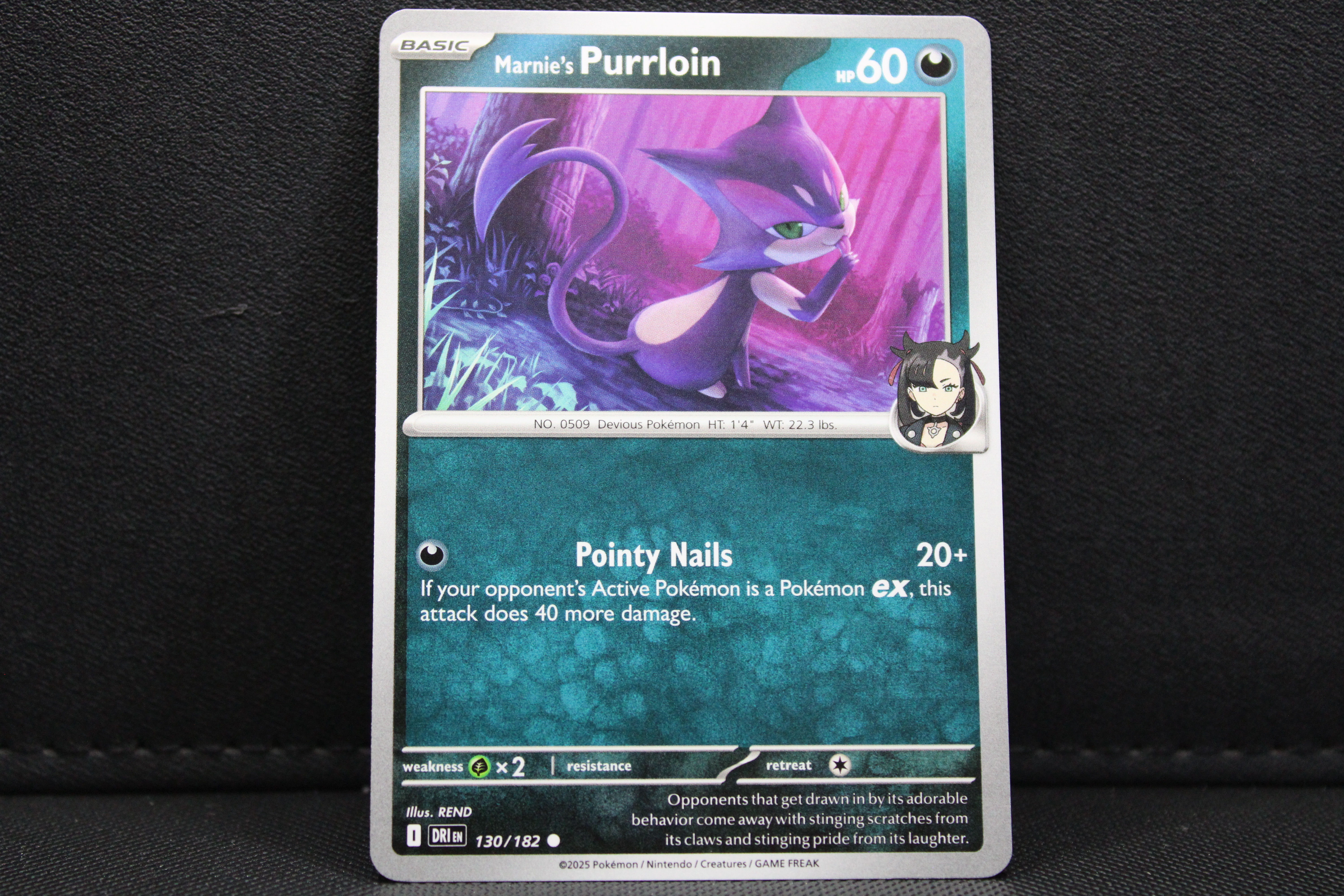Marnie's Purrloin 130/182 - Non Holo, SV Destined Rivals