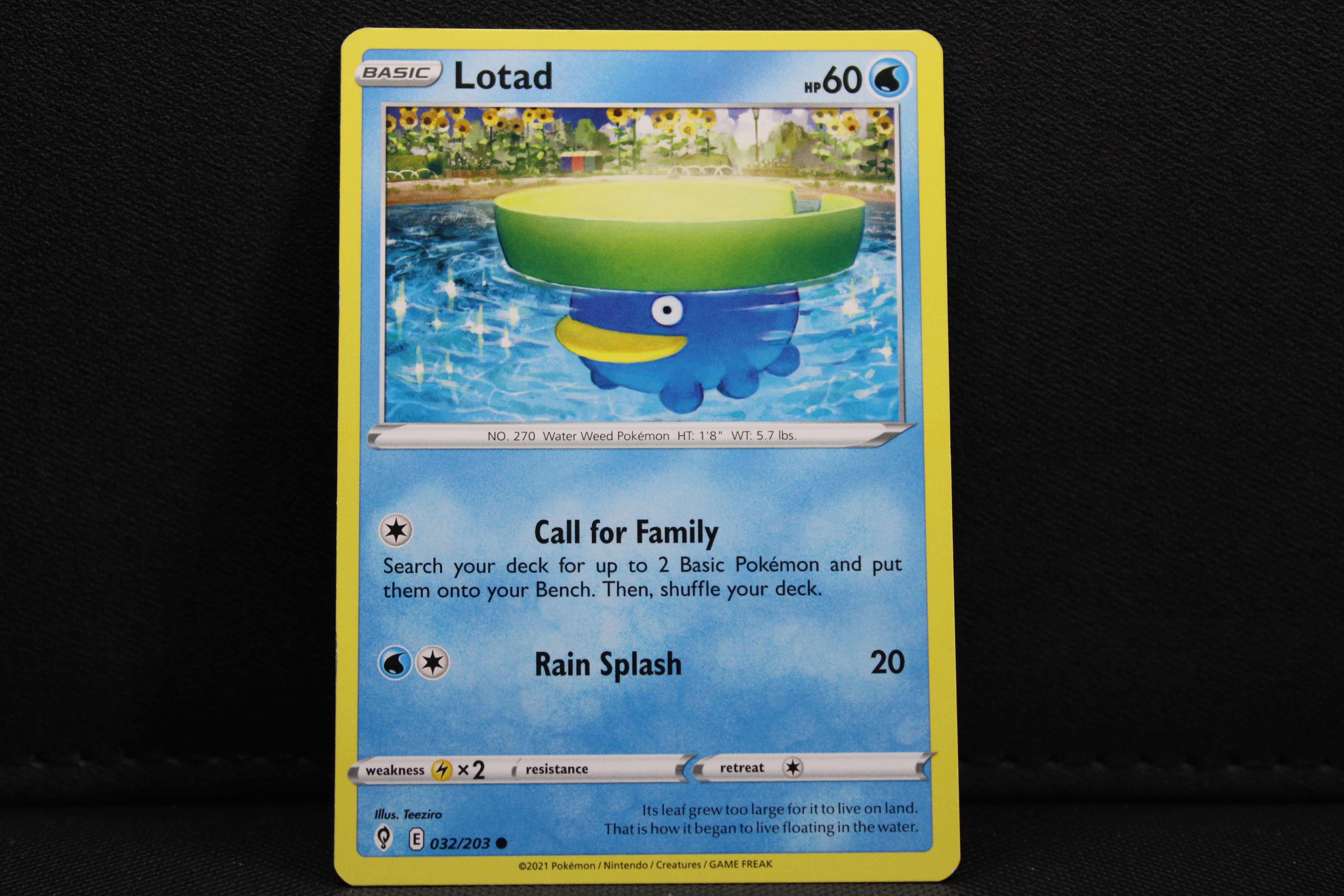 Lotad 032/203 - Non Holo, SWSH Evolving Skies