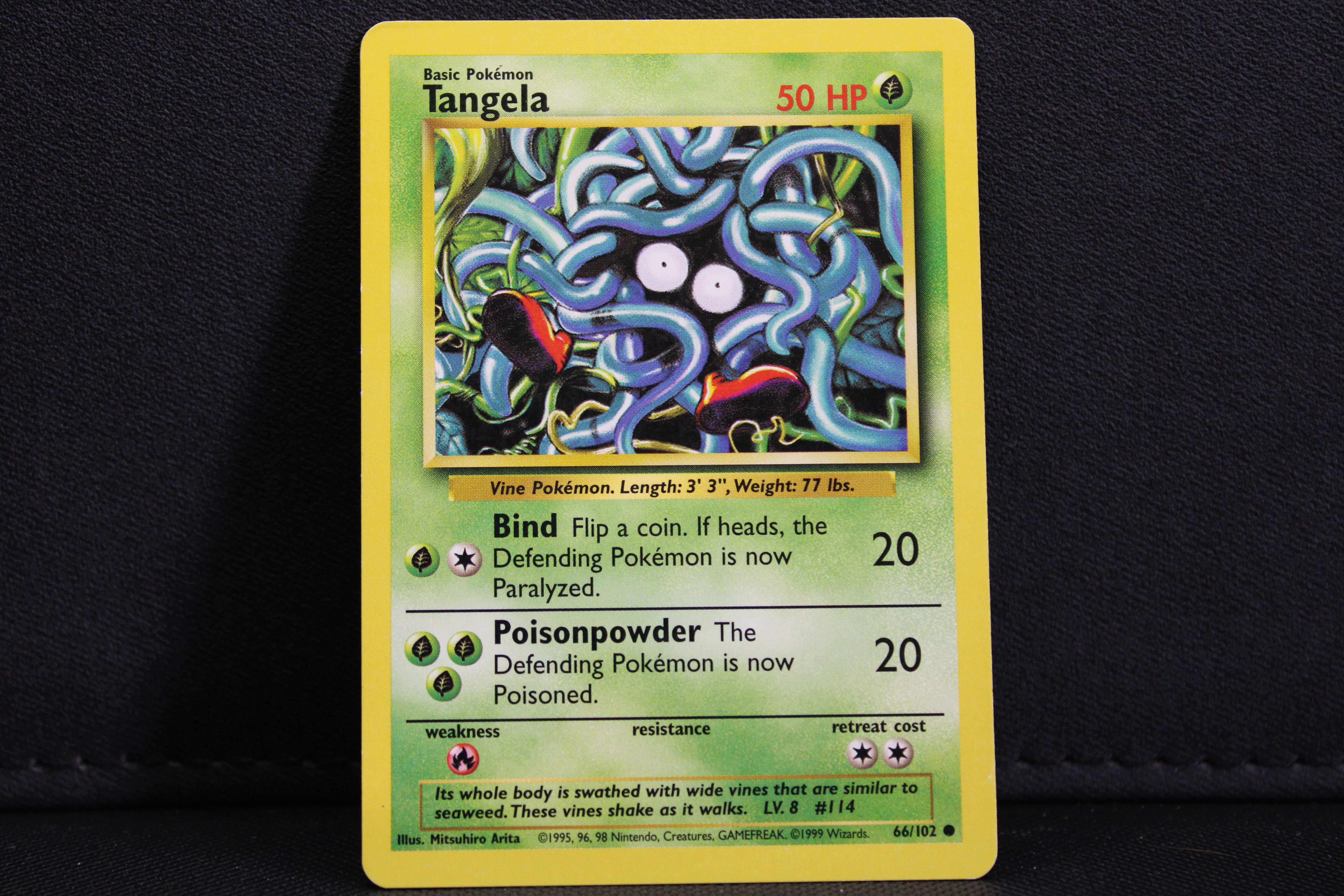 Tangela 66/102 - Non Holo, 1999 Unlimited Base