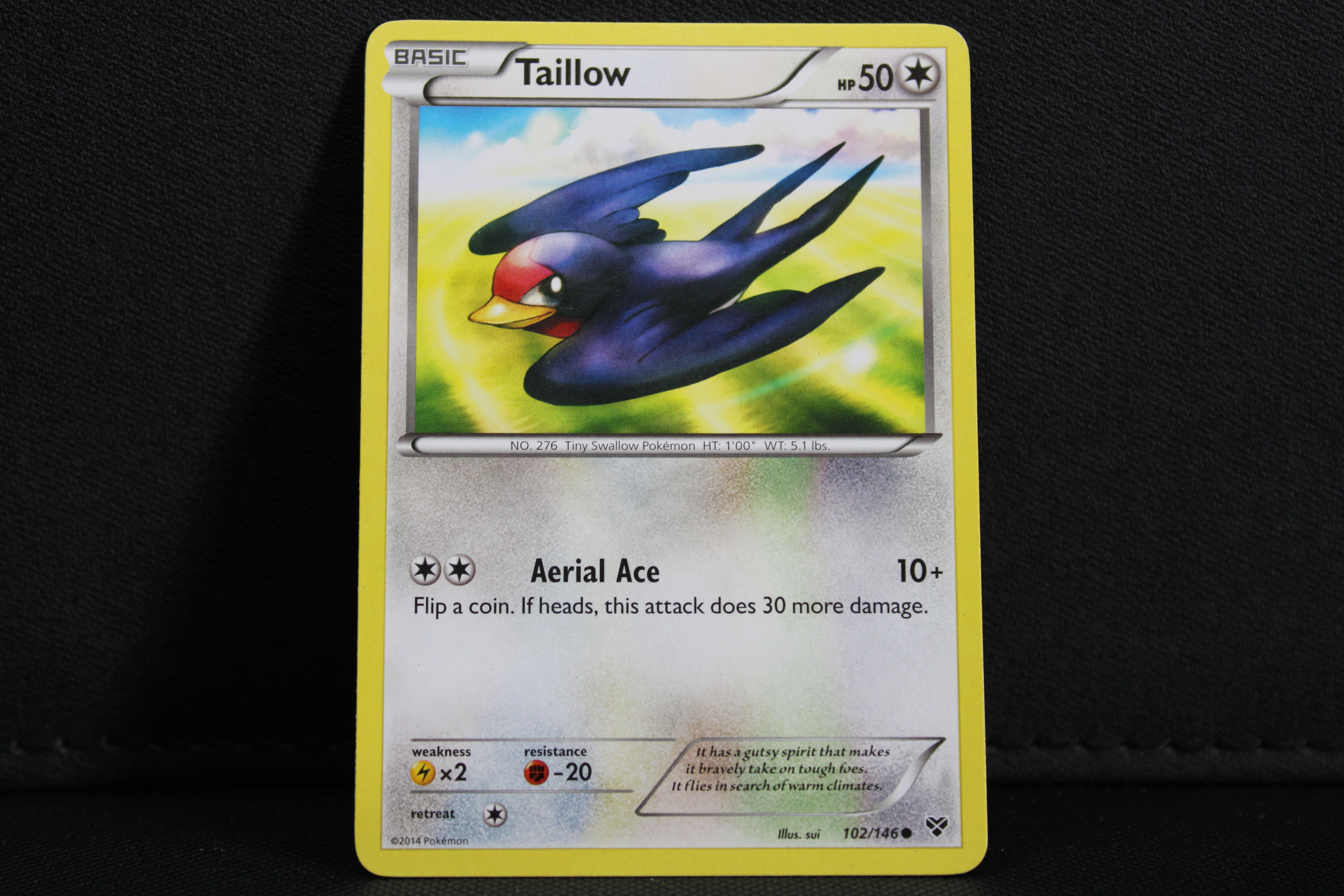 Taillow 102/146 - Non Holo, XY