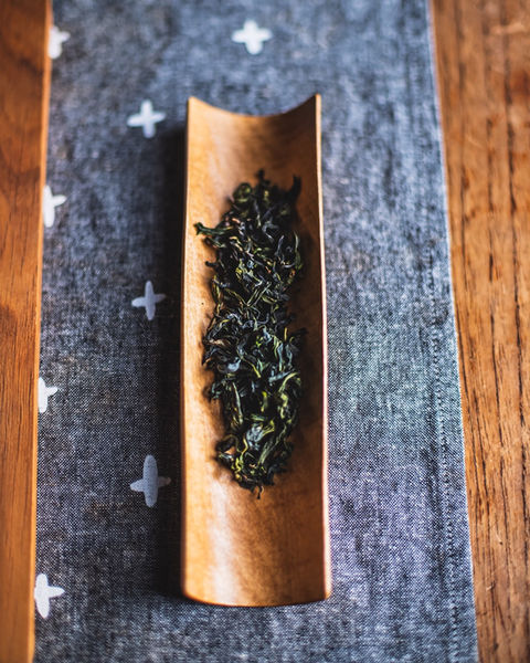 Brewing Taiwanese tea from Deerland Tea