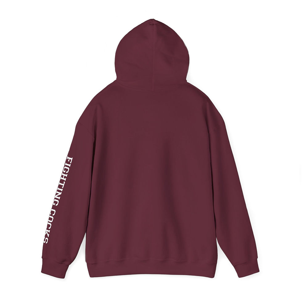 Thumbnail: South Carolina Gamecocks - Unisex Hoodie