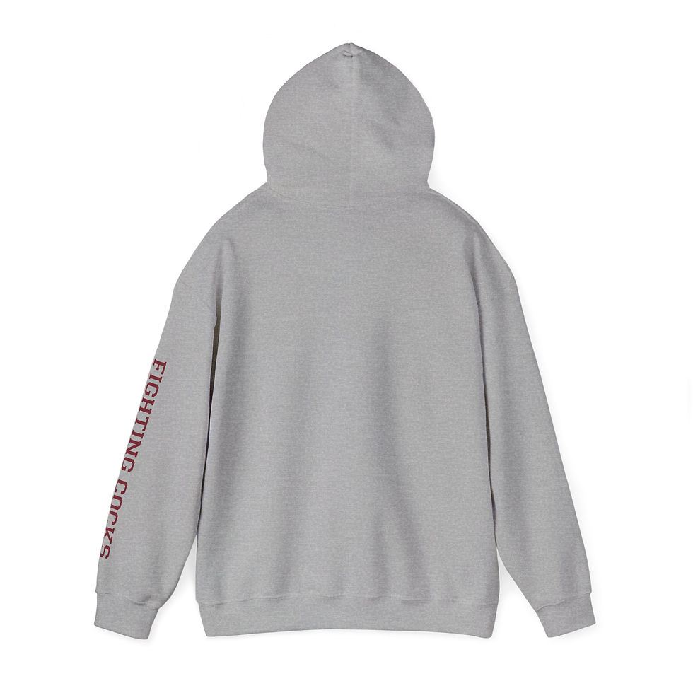 Thumbnail: South Carolina Gamecocks - Unisex Hoodie