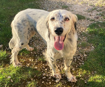 WhatsApp Image 2024-04-12 at 20.10_edite