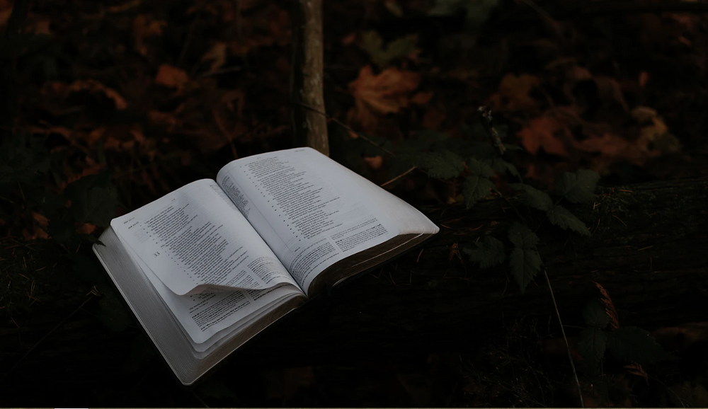 knowledge is power