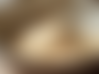 Top Protein Powders for Optimal Fitness