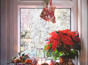 Holiday Travels