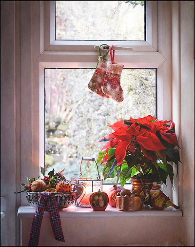 Festive Window Display