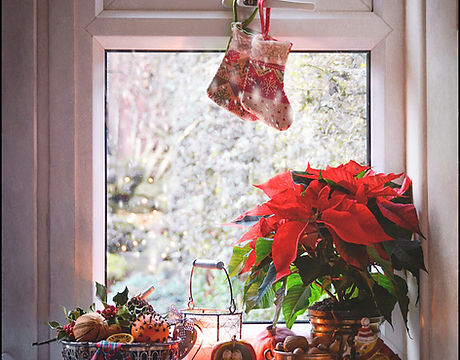 Feliz Navidad