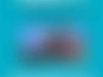 Our Response to COVID-19