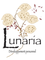 logo25.png