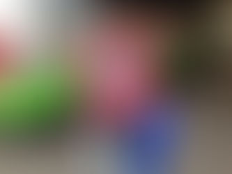 We're Heading to the North: Come Along!