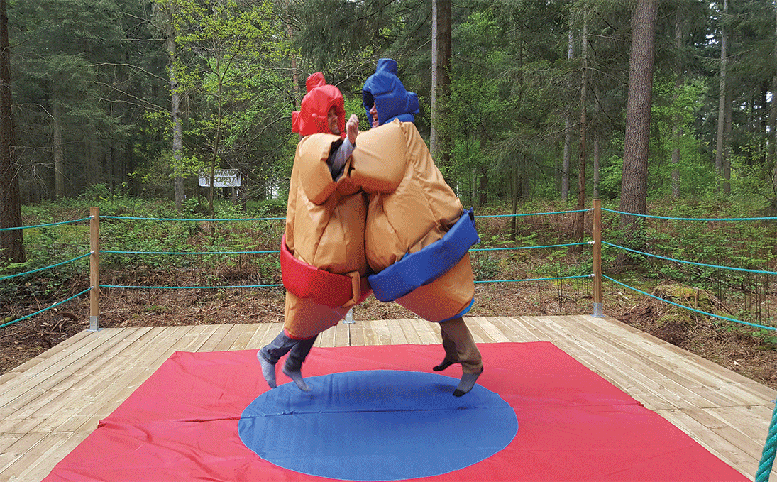 sumo-acroforest