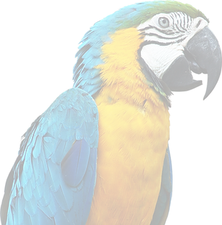 rrrr (1).png