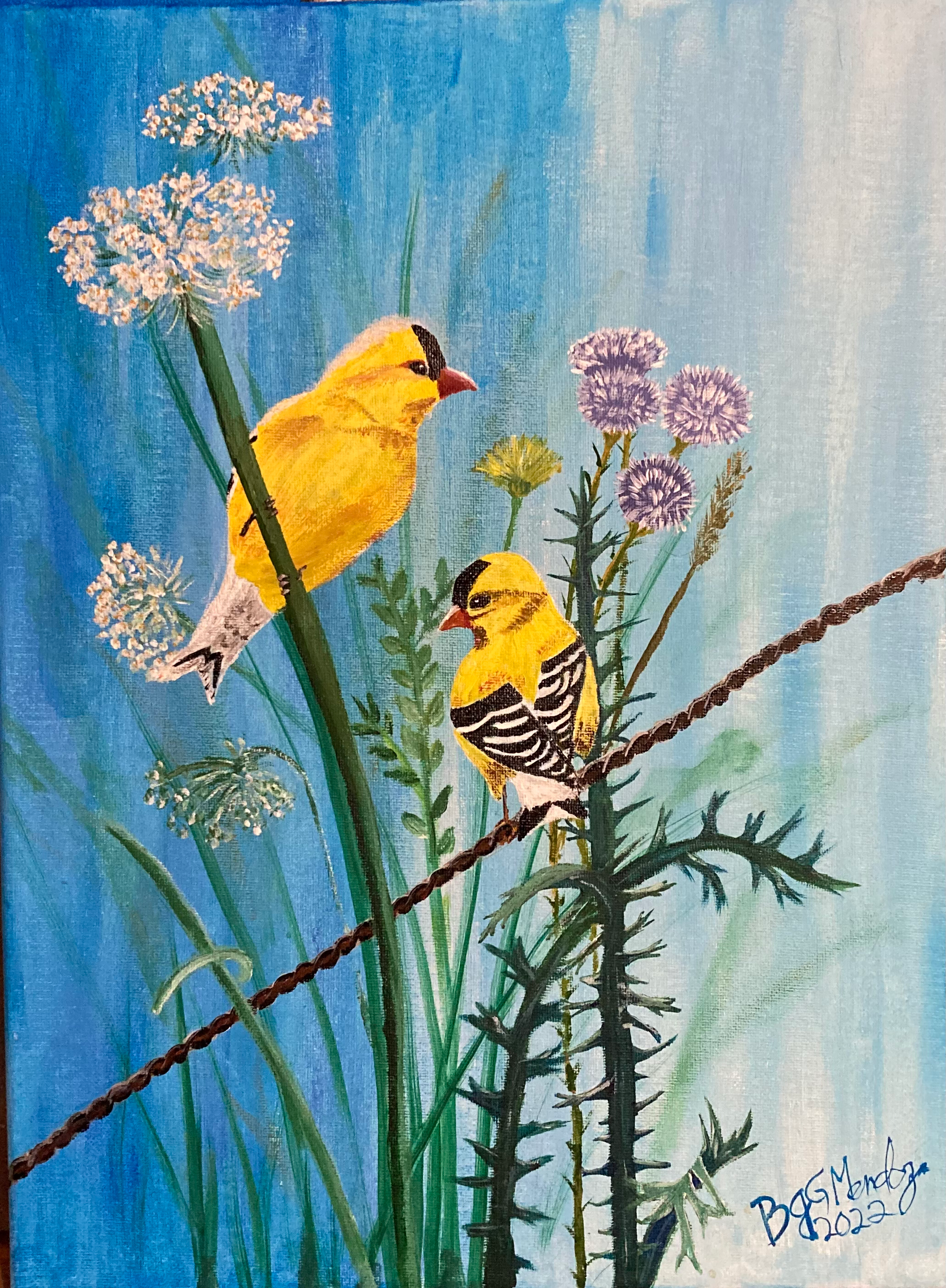 Goldfinch On Wildflowers