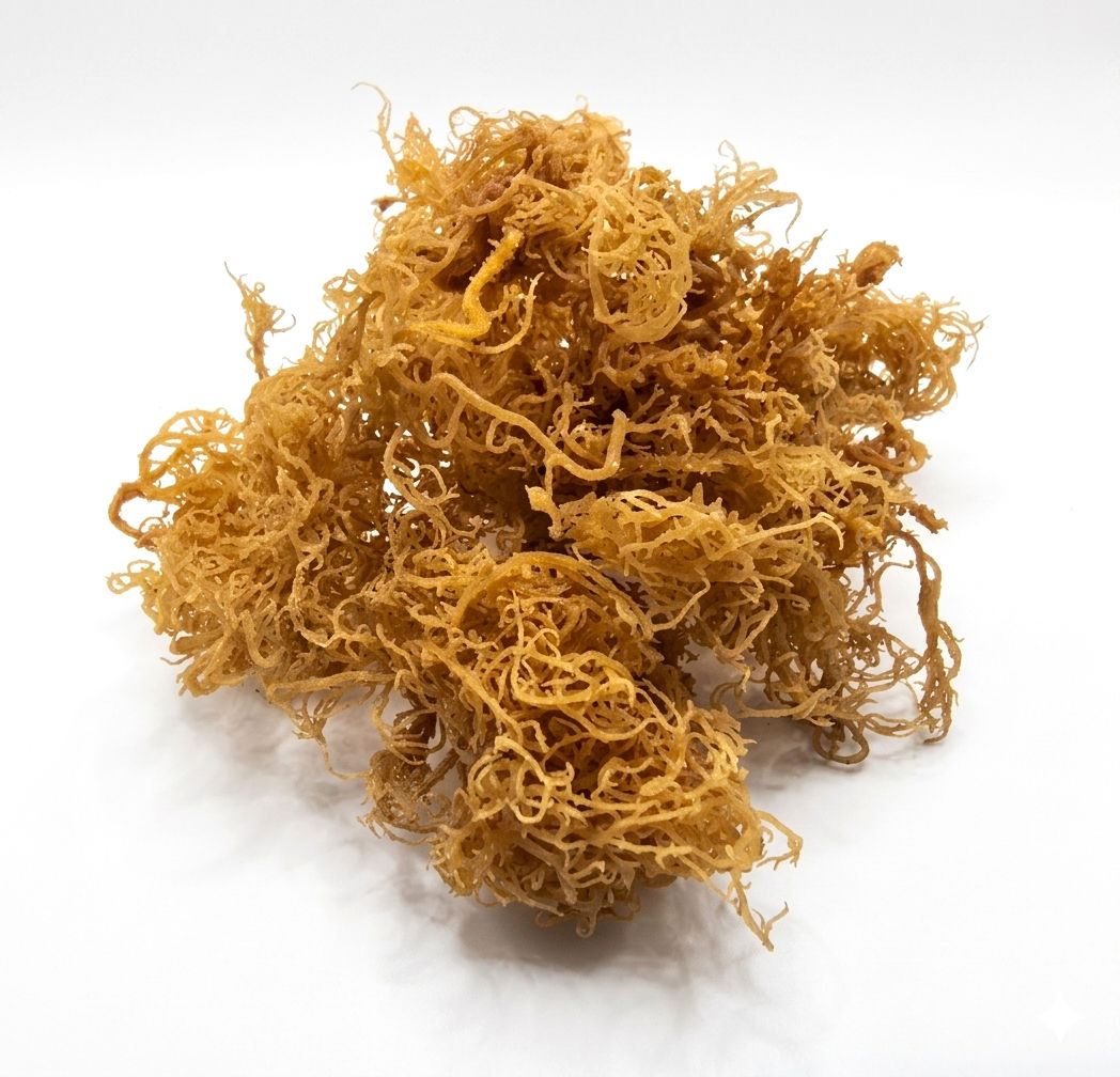 Raw Sea Moss
