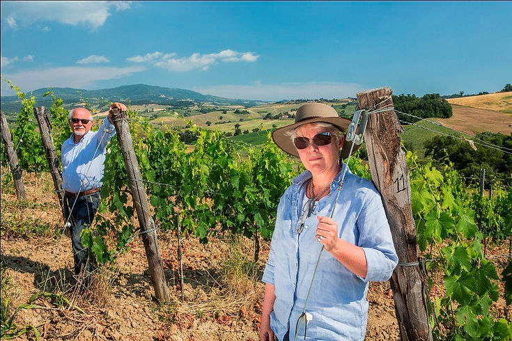 18891472_1751370958211323_73509210627404