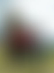 The Long Game (SXSW Movie Review)