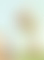 Tribeca Film Festival: NAMOO Review (Animated Short)