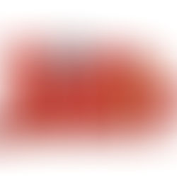 Tom and Jerry: Movie Review